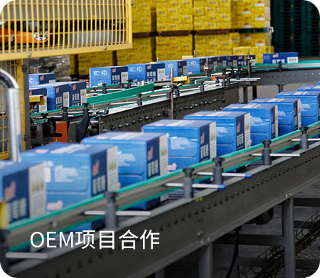 OEM Service